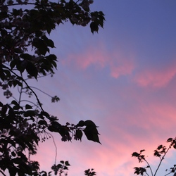 P1015885 - バージョン 2.JPGのサムネール画像